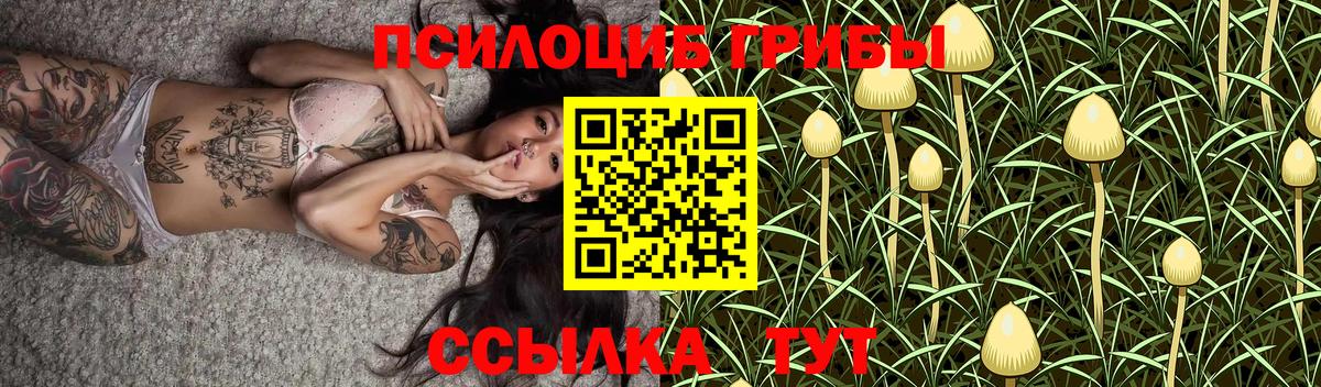 Канаш  Галлюциногенные грибы Cubensis  где можно купить наркотик  Вход с VPN 